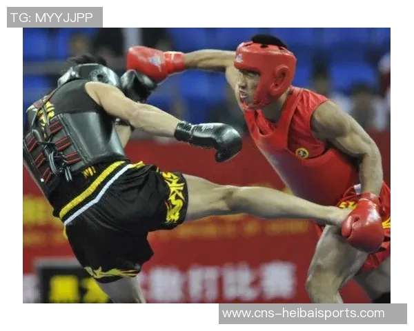 07年白近斌与方便的对决回顾及其对中国格斗发展的影响分析